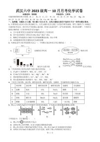 湖北武汉市第六中学2023-2024学年高一上学期10月月考化学试卷