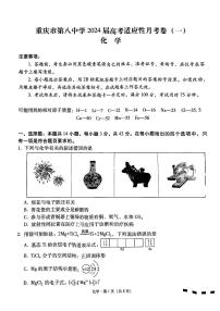 重庆市第八中学2023-2024学年高三化学上学期高考适应性月考（一）（PDF版附解析）