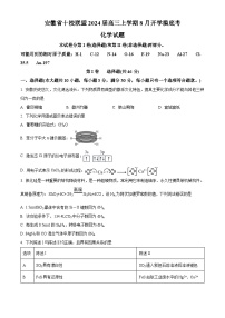 安徽省十校联盟2023-2024学年高三上学期8月开学摸底考化学试题（解析版）