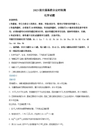 重庆市西南大学附属中学校2022-2023学年高三化学上学期11月拔尖强基联合检测试题（Word版附解析）