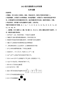 重庆市西南大学附属中学2022-2023学年高三化学上学期11月拔尖强基联合检测试题（Word版附答案）