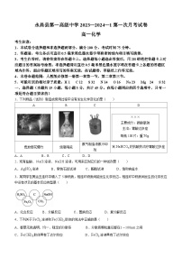 甘肃省永昌县第一高级中学2023-2024学年高一上学期10月第一次月考化学试题（月考）