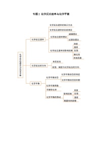 【期中考点梳理】（苏教版2019）2023-2024学年高二上学期化学 选择性必修1 专题2 化学反应速率与化学平衡 试卷