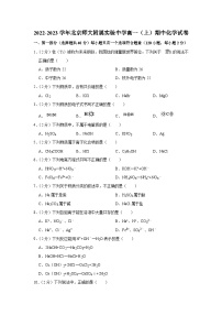 2022-2023学年北京师大附属实验中学高一（上）期中化学试卷