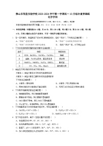 广东省佛山市萌茵实验学校2023——2024学年高一上学期10 月综合素养跟踪化学试题（月考）