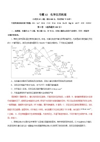 新高考化学二轮复习检测卷专题12 化学反应机理（含解析）