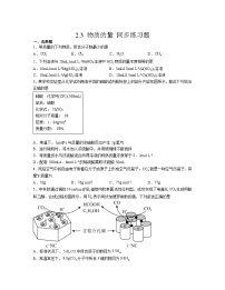 高中化学人教版 (2019)必修 第一册第三节 物质的量同步练习题