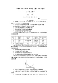 2024湖南师大附中高一上学期第一次大练习化学含答案