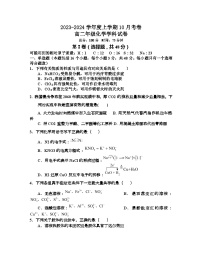 湖南省新化县第二中学2023-2024学年高二上学期10月月考化学试题