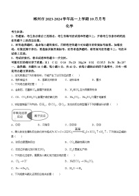 湖南省郴州市2023-2024学年高一上学期10月月考化学试题（Word版含答案）