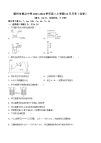 福建省福州市重点中学2023-2024学年高二上学期10月月考化学试卷（Word版含答案）