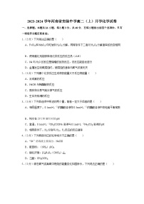 河南省实验中学2023-2024学年高二化学上学期10月月考试题（Word版附解析）