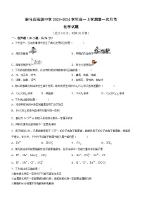 河南省驻马店高级中学2023-2024学年高一上学期第一次月考化学试题（含答案）