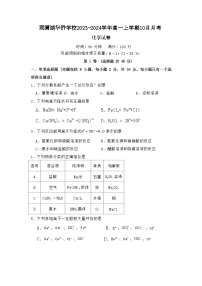 海南省海口市观澜湖华侨学校2023-2024学年高一上学期10月月考化学试题（含答案）