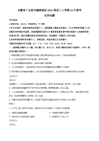 安徽省十五校卓越联盟体2024届高三上学期10月联考化学试题（解析版）