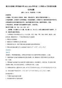 重庆市西南大学附属中学2023-2024学年高二化学上学期10月阶段性检测试题（Word版附解析）