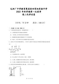 安徽省六安市田家炳实验中学2023-2024学年高二上学期第一次段考化学试题