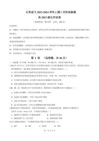 四川省成都市石室成飞2023-2024学年高一上学期10月阶段检测化学试题（PDF版含答案）