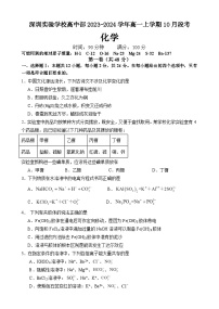 广东省深圳实验学校高中部2023-2024学年高一上学期10月段考化学试题（含答案）