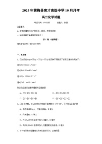 湖北省黄冈市黄梅国际育才高级中学2023-2024学年高二上学期10月月考化学试题