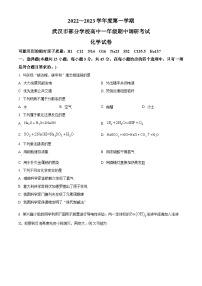 【期中真题】湖北省武汉市部分学校2022-2023高一上学期期中联考化学试题.zip