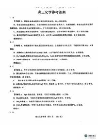 2024菏泽鄄城县一中高三上学期10月月考试题化学PDF版含解析