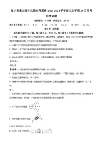 2024重点高中沈阳郊联体高三上学期10月月考试题化学含解析