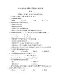 广东省湛江市第二十一中学2023-2024学年高一化学上学期10月月考试题（Word版附解析）