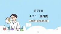 高中化学人教版 (2019)选择性必修3第二节 蛋白质评优课ppt课件