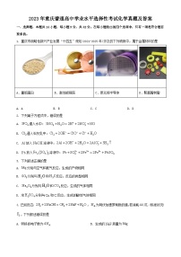 2023年重庆普通高中学业水平选择性考试化学真题及答案