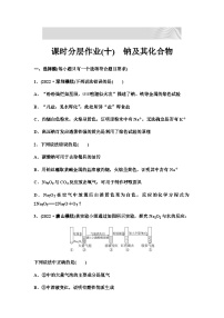 2024届高考化学一轮复习 课时分层作业10　钠及其化合物 （含答案）