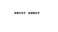 2024届高三化学一轮复习课件：生物大分子　合成高分子