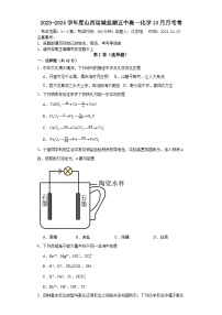 山西运城市盐湖区第五高级中学2023-2024学年高一上学期10月月考化学试题