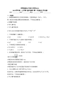 河南省新乡市部分学校2023-2024学年高一上学期”选科调研“第一次测试化学试卷(含答案)