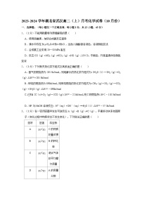 2023-2024学年湖北省武汉高二（上）月考化学试卷（10月份）