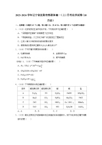 2023-2024学年辽宁省沈阳市郊联体高一（上）月考化学试卷（10月份）