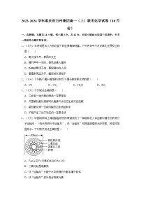 2023-2024学年重庆市万州集团高一（上）联考化学试卷（10月份）