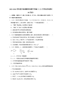 2023-2024学年四川省成都市双流中学高三（上）月考化学试卷（10月份）