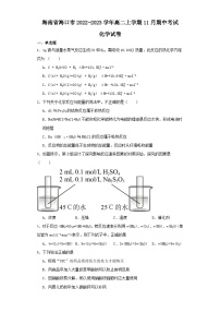 海南省海口市2022-2023学年高二上学期11月期中考试化学试卷（含解析）