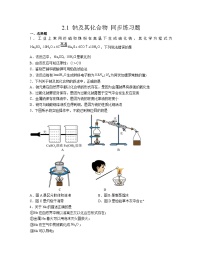 人教版 (2019)必修 第一册第一节 钠及其化合物当堂检测题