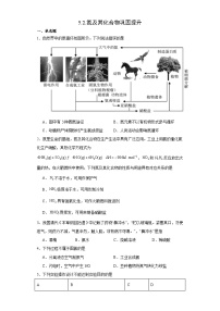 高中人教版 (2019)第二节 氮及其化合物测试题