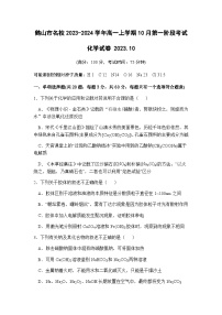 广东省鹤山市名校2023-2024学年高一上学期10月第一阶段考试化学试卷（含答案）