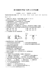 四川省新津中学高一10月月考化学试题及答案