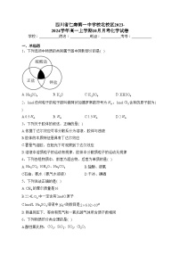 四川省仁寿第一中学校北校区2023-2024学年高一上学期10月月考化学试卷(含答案)