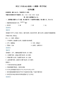 四川省宜宾市兴文第二中学2023-2024学年高一化学上学期10月月考试题（Word版附解析）