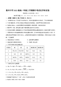 广东省惠州市惠州中学2023-2024学年高一上学期期中考试化学试卷