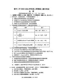 广西南宁市第二中学2023-2024学年高二上学期11月期中化学试题