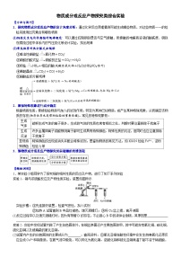 2023届高三化学二轮复习 03  物质成分或反应产物探究类综合实验