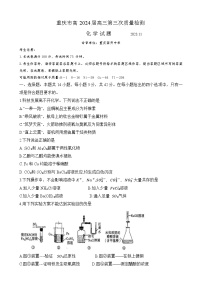 2024重庆市南开中学高三上学期11月月考化学试题含答案