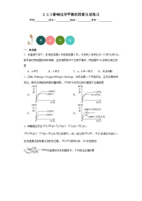 高中化学人教版 (2019)选择性必修1第二节 化学平衡习题